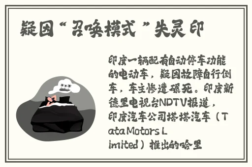 大狗狗影视在线观看