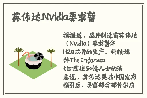 荧被盗宝团轮j